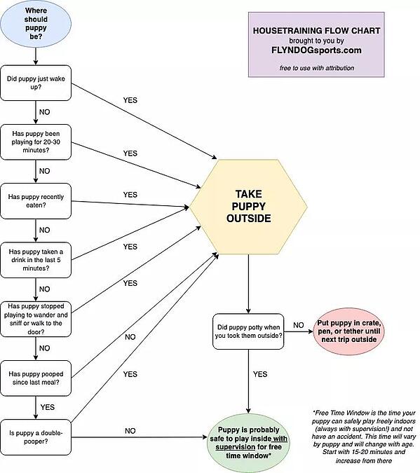 Potty training flow chart